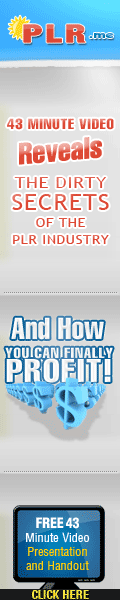 Make Money with PLR