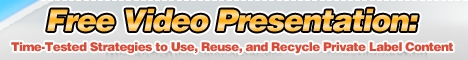 Use PLR Content