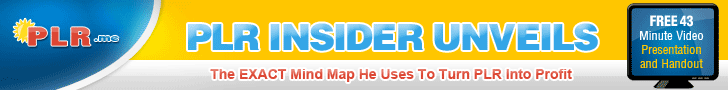 Use PLR Content