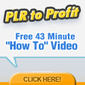 How to Use PLR Video