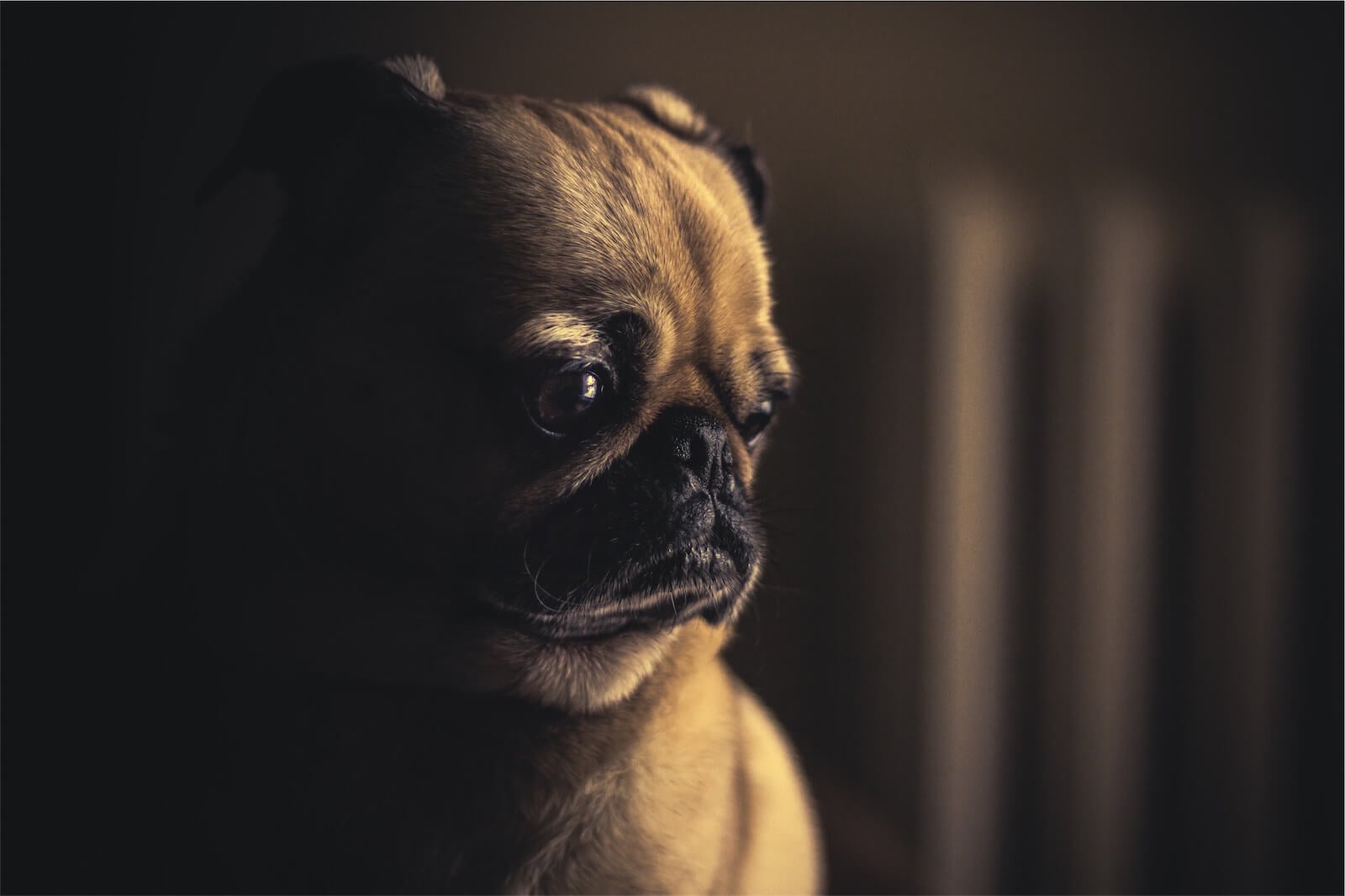 Top 3 Marketing Failures