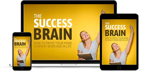 Success Mindset PLR Course